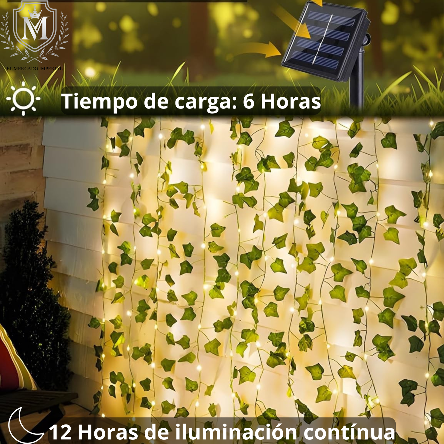 enredadera SolarDreams 5 metros/  🌿 “Decora Tu Jardín y balcón
