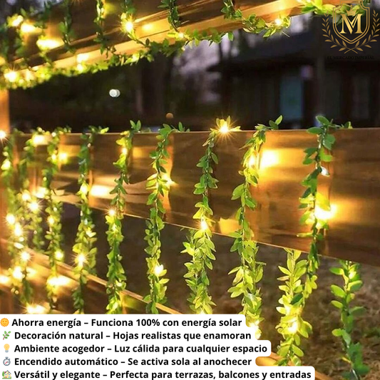 ✨ “¡Pack Decoración Mágica! 1 guirnalda SolarDreams (100 leds) + Guirnaldas Colibrí de Regalo 🐦💡” ✨
